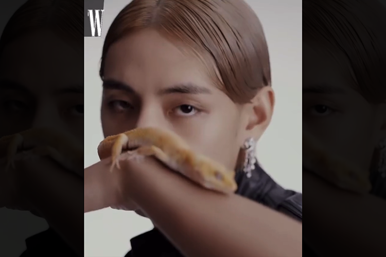 Watch: V W Korea Fashion Film 2